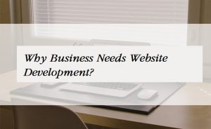 Business Need Website Development