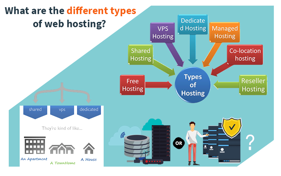 What are the different types of web hosting?