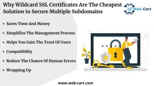 Why-Wildcard-SSL-Certificates-Are-The-Cheapest-Solution-to-Secure-Multiple-Subdomains