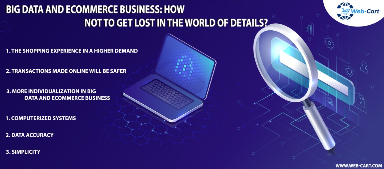Big Data and eCommerce Business: How Not to Get Lost in the World of Details?